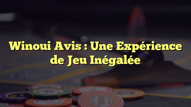 Winoui Avis : Une Expérience de Jeu Inégalée
